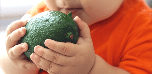 Amazing Baby Food Recipes pc screenshot