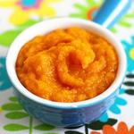 Amazing Baby Food Recipes for pc icon