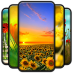 4K Flower Wallpaper icon