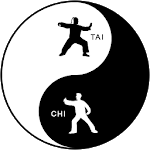 Learn Tai Chi: Tai Chi Videos icon
