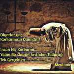 Mevlana Lyrics 2018 icon