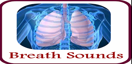 Breath Sounds (Lungs Sounds) pc screenshot