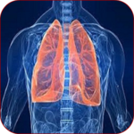 Breath Sounds (Lungs Sounds) icon