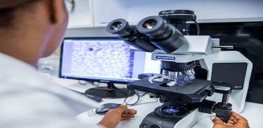 Pathology Atlas (Basic Gross & Microscopic slides) pc screenshot Pathology Atlas (Basic Gross & Microscopic slides) pc screenshot