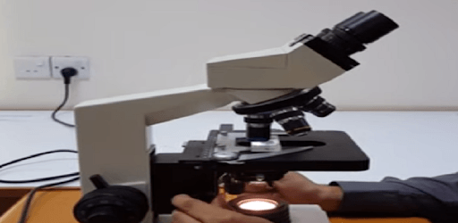 Diagnostic microbiology pc screenshot Diagnostic microbiology pc screenshot
