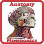 Anatomy Mnemonics icon