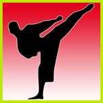 Learn Taekwondo for pc icon Learn Taekwondo for pc icon