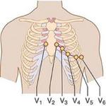 Clinical ECG Guide. for pc icon
