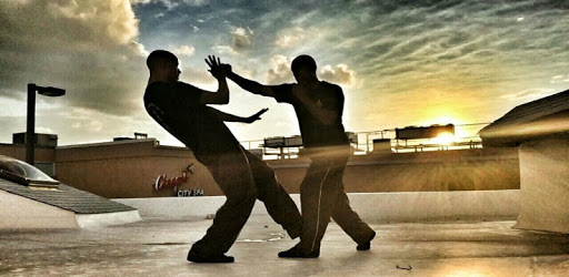 Wing Chun : Tips & Lessons pc screenshot Wing Chun : Tips & Lessons pc screenshot