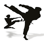 Kung Fu Lessons for pc icon
