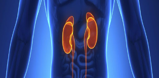 Nephrology Basics pc screenshot Nephrology Basics pc screenshot