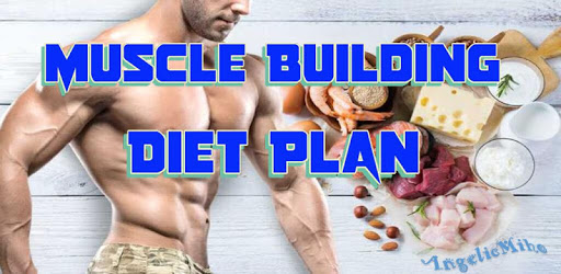 Muscle Building Diet Plan pc screenshot Muscle Building Diet Plan pc screenshot