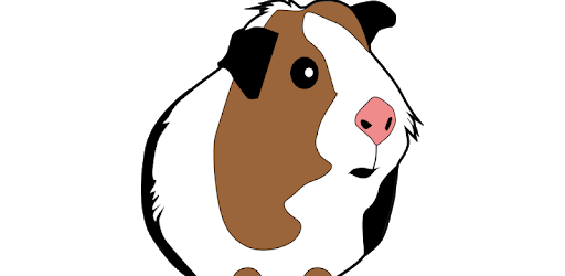 My Guinea Pigs pc screenshot