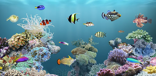 aniPet Aquarium LiveWallpaper pc screenshot aniPet Aquarium LiveWallpaper pc screenshot