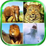 Animals Sounds icon