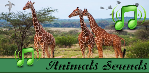 Real Animal & Natural Bird Sounds pc screenshot Real Animal & Natural Bird Sounds pc screenshot