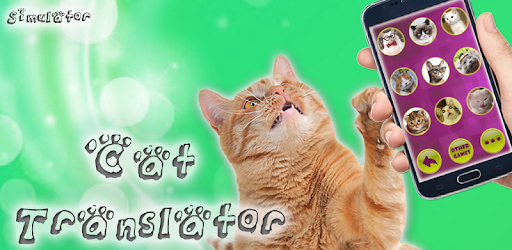 Translator for cats (joke) pc screenshot