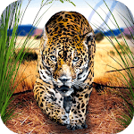Wild Leopard: African Animal Survival for pc icon