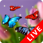 Butterfly Wallpaper icon