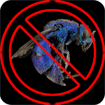Anti Wasp Sound for pc icon Anti Wasp Sound for pc icon