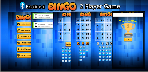 Bingo Game:2 Player Game pc screenshot