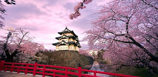 NHK Easy Japanese News - Simple, Fast and Useful pc screenshot