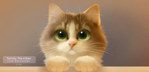 Tummy The Kitten Lite pc screenshot Tummy The Kitten Lite pc screenshot