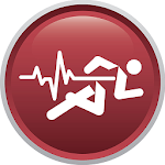 ACL Play It Safe icon
