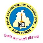 Punjab Co Educational SSS BP icon