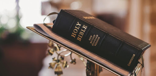 The Holy Bible English - Free Offline Bible App pc screenshot The Holy Bible English - Free Offline Bible App pc screenshot