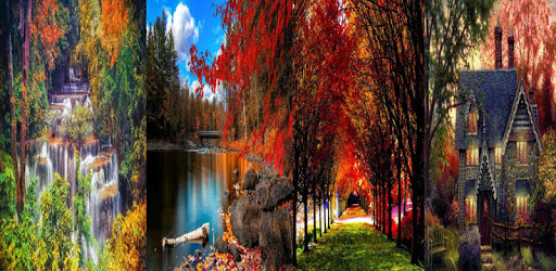 Autumn Wallpaper pc screenshot