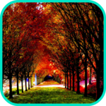 Autumn Wallpaper icon