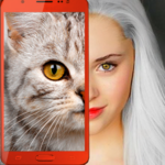 Kittens: what cat are you? icon
