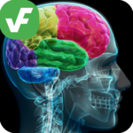 ⭐ Verified Facts - Verifacts icon