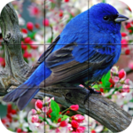 Puzzle - Birds icon