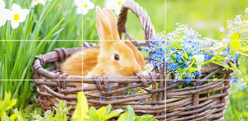 Puzzle - Cute bunnies pc screenshot
