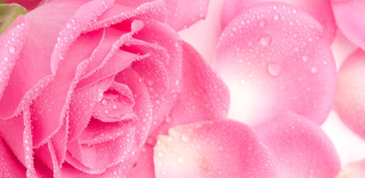 Romantic Love Purtgese pc screenshot Romantic Love Purtgese pc screenshot