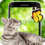 Screen Fun Animals icon