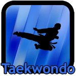 Taekwondo Kicks Videos - Offline for pc icon