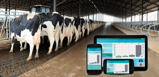 Smart Cow pc screenshot Smart Cow pc screenshot