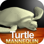 Turtle Mannequin icon