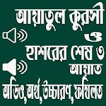 আয়াতুল কুরসী ও হাশরের অডিও ও ফযিলত for pc icon