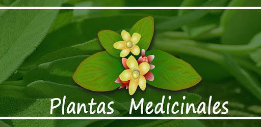 Medicinal Plants and Their Uses pc screenshot Medicinal Plants and Their Uses pc screenshot