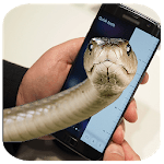 Snake On Screen Prank and Hissing Joke 2017 icon