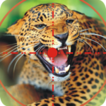 Wild Animal Hunting Game : Sniper Mission icon