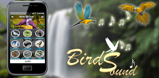 Latest Bird Ringtones 2018 pc screenshot