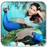Birds Photo Frames : Unlimited Flying Birds Frames icon