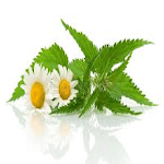 Homeopathy in 3 Languages for pc icon