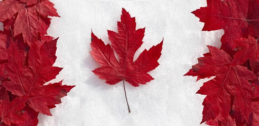Canada Immigration Eligibility pc screenshot Canada Immigration Eligibility pc screenshot