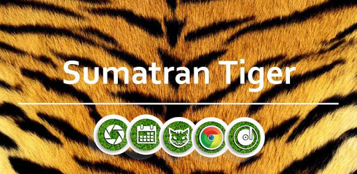 Wild Tiger -APUS Launcher theme pc screenshot Wild Tiger -APUS Launcher theme pc screenshot